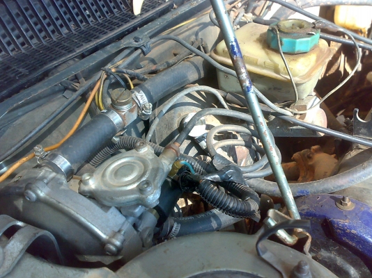 ขาย peugeot 305 14000 ขาย peugeot 305 14000