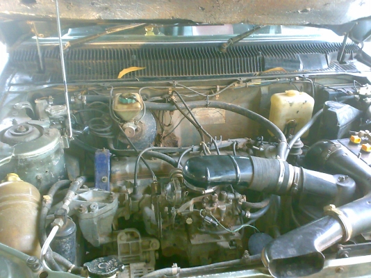 ขาย peugeot 305 14000 ขาย peugeot 305 14000