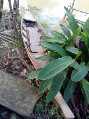 ขายเรือดูเอาครับเรียกไม่ถูกราคา17000