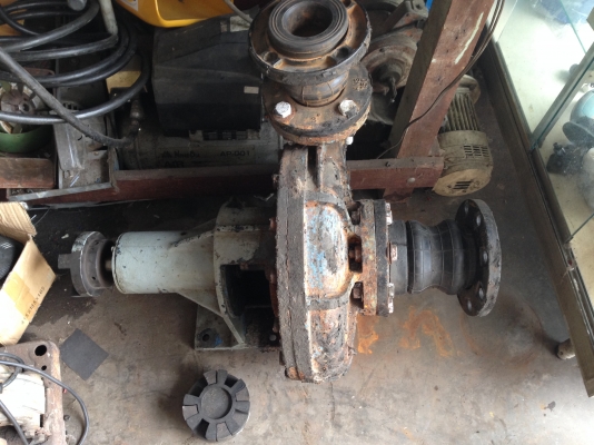 ขายหัวปั้มน้ำ ถอดจากมอเตอร์ 20 HP. ใบพัดทองเหลือง เข้า 3.5 นิ้ว ออก 2.5 นิ้ว หยุดใช้งานมาไม่ถึงปี ลูกปืนดังต้องเปลี่ยน อุปกรณ์ต่างๆครบ ขายถูกๆ