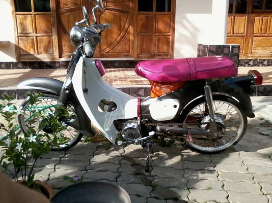 ขาย C65 ถังแยก เครื่องเวฟ Z ผาเครื่องซุบหใหม่(ลดครับ 12500 เท่านั้น) โทรคุยได้ครับ โทร0882321123