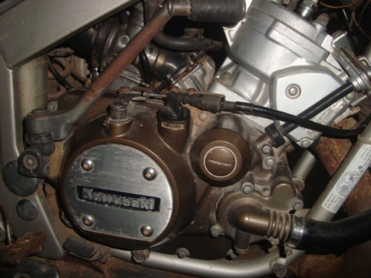 ขาย วิกเตอร์ M ขาย วิกเตอร์ M