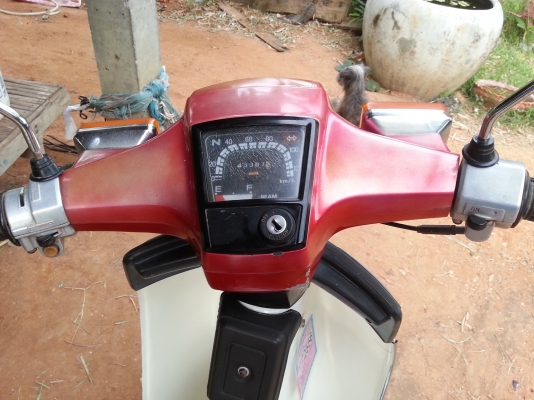 ขาย honda c900 สภาพสวย  เพียง 9500บาท เดิมๆ ทะเบียนเต็ม พร้อมโอน