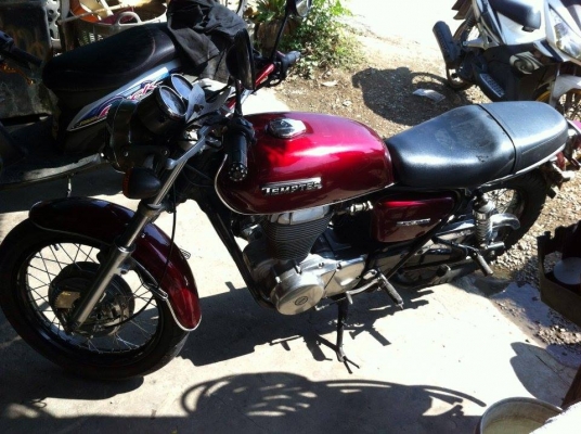 ขาย suzuki tempter 400