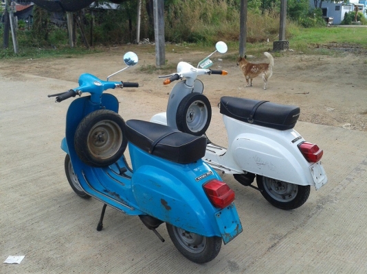 ขาย vespa 50s