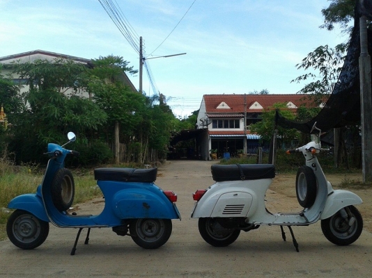 ขาย vespa 50s