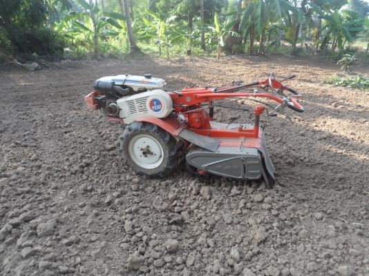 รถพรวนดินเดินตาม KUBOTA T702