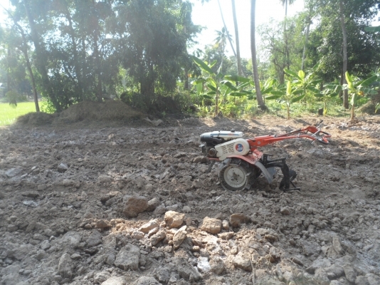 รถพรวนดินเดินตาม KUBOTA T702