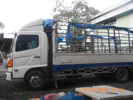 HINO 500 เมก้า 6 ล้อ 145 แรง ปี 51 HINO 500 เมก้า 6 ล้อ 145 แรง ปี 51