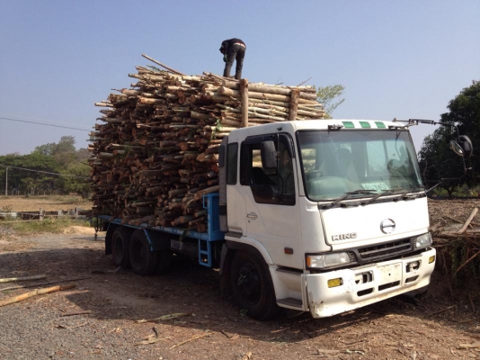 พื้นเรียบหัวโปรเฟีย เครื่องแรงเบรคทิฟฟี่  เล่มพร้อมโอน670000