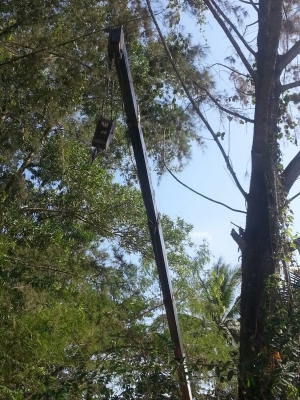 รถโตโยต้า 6 ล้อ ติดเครน 5 ตัน. ท้ายลาด 130 แรงม้า. สนใจติดต่อ 081 - 6079515