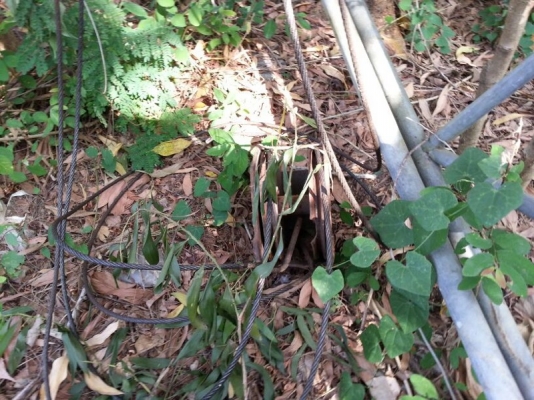 รถโตโยต้า 6 ล้อ ติดเครน 5 ตัน. ท้ายลาด 130 แรงม้า. สนใจติดต่อ 081 - 6079515