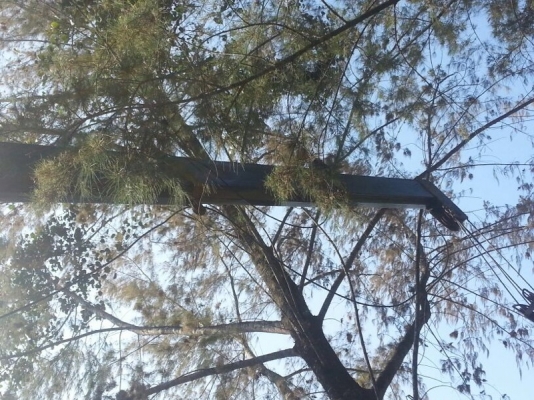 รถโตโยต้า 6 ล้อ ติดเครน 5 ตัน. ท้ายลาด 130 แรงม้า. สนใจติดต่อ 081 - 6079515