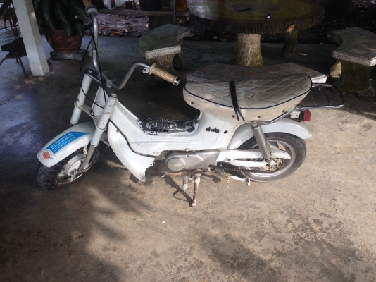 ขาย ชาลี  เครื่องดีๆ ลดๆ ไปเลย   9,900 บาท