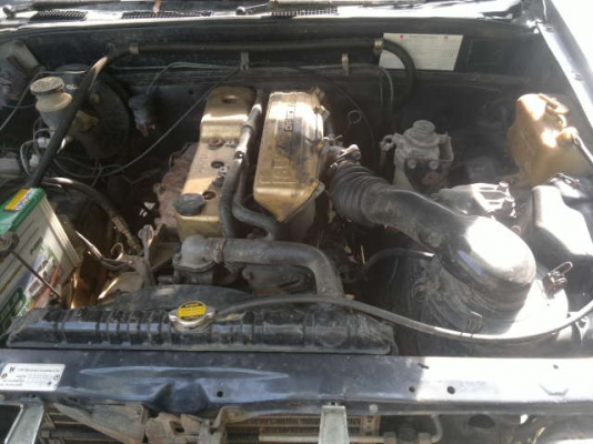 ขายมังกรตอนเดียวตามสภาพ ขายมังกรตอนเดียวตามสภาพ