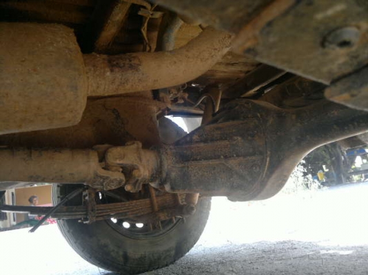 ขายมังกรตอนเดียวตามสภาพ