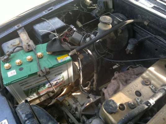 ขายมังกรตอนเดียวตามสภาพ ขายมังกรตอนเดียวตามสภาพ