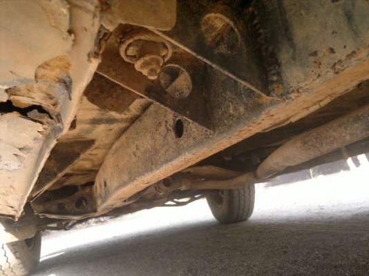 ขายมังกรตอนเดียวตามสภาพ ขายมังกรตอนเดียวตามสภาพ