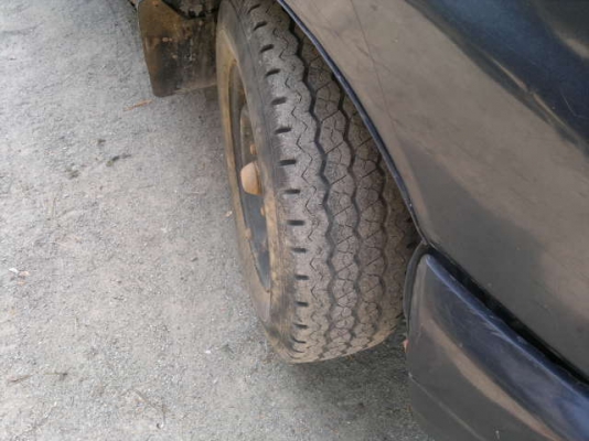 ขายมังกรตอนเดียวตามสภาพ ขายมังกรตอนเดียวตามสภาพ