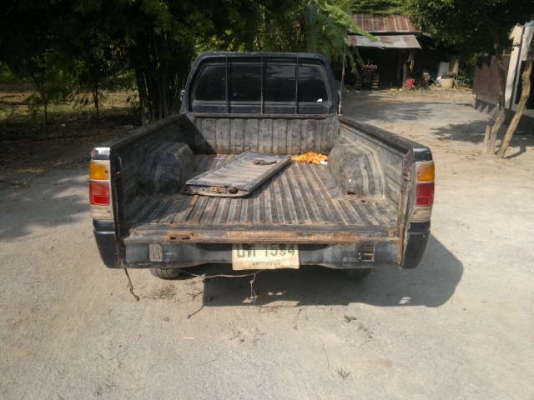 ขายมังกรตอนเดียวตามสภาพ ขายมังกรตอนเดียวตามสภาพ