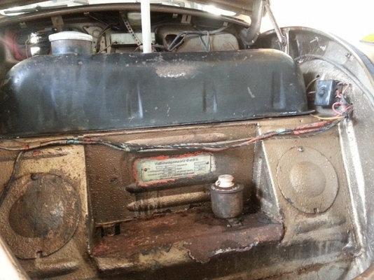 ขายเต่า