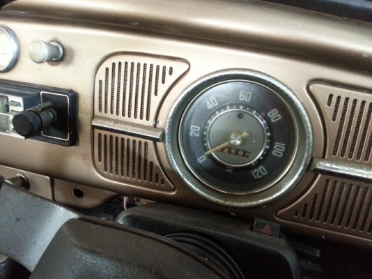 ขายเต่า