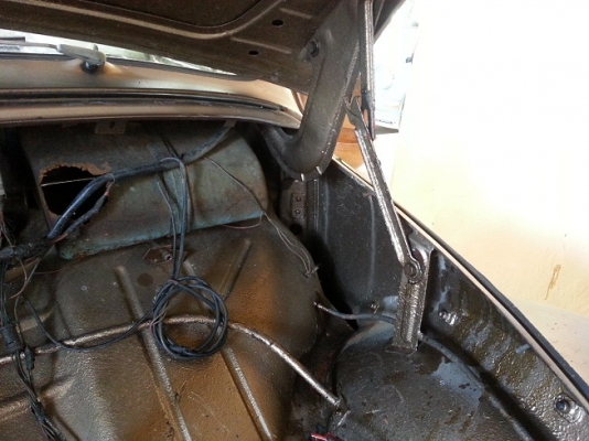 ขายเต่า