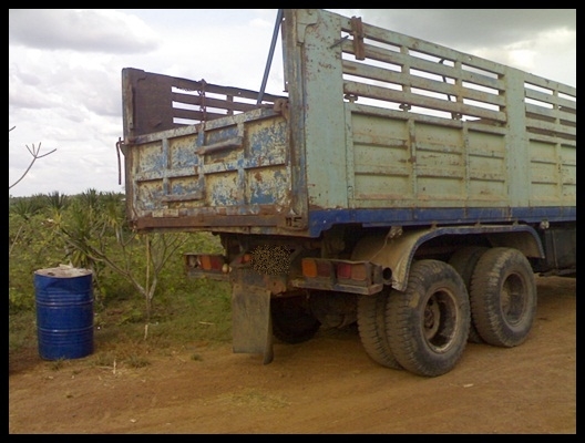 สิบล้อร๊อคกี้ 210 วางเครื่อง 195 แรงสวยๆ ขายด่วนๆ ร้อนตูด