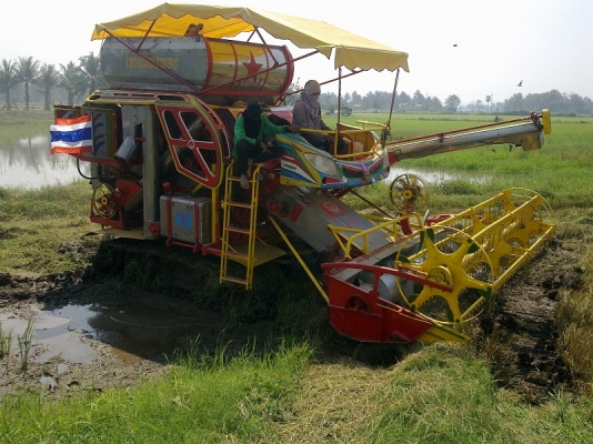 ขายรถเกี่ยวข้าว เกษตรพัฒนา ปี 52 ไฟวีโก้ หน้ากว้าง 3.30 เมตร