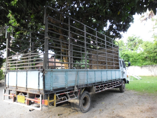 ขาย 6 ล้อ Rocky 175 ยาว 6 เมตร