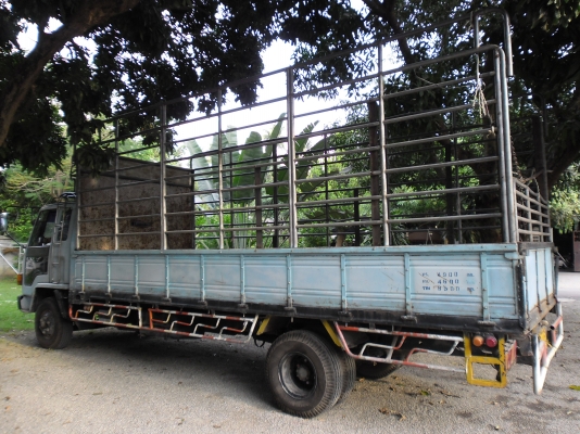 ขาย 6 ล้อ Rocky 175 ยาว 6 เมตร