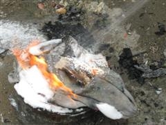 ถังดับเพลิงติดรถขนาดพกพา ถังดับเพลิงติดรถขนาดพกพา