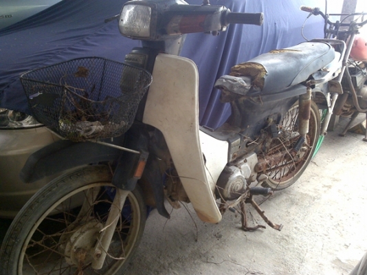 ขายดรีมสตาร์ทมือ ด่วนคร๊าบบบบบบบบ