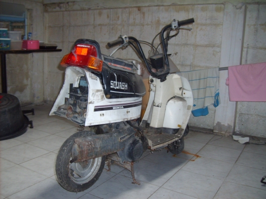 honda squash honda squash