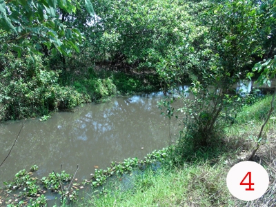 ขออนุญาติพี่เสือ ขายที่ดิน สปก. ถูกต้องตามกฎหมาย 14 ไร่ 3 แสน 5 หมื่น ต่อรองราคาได้