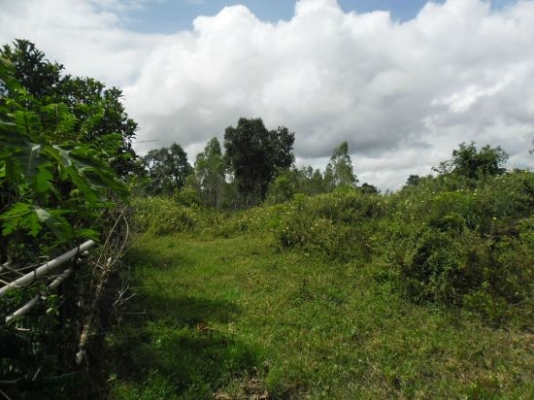 ขออนุญาติพี่เสือ ขายที่ดิน สปก. ถูกต้องตามกฎหมาย 14 ไร่ 3 แสน 5 หมื่น ต่อรองราคาได้