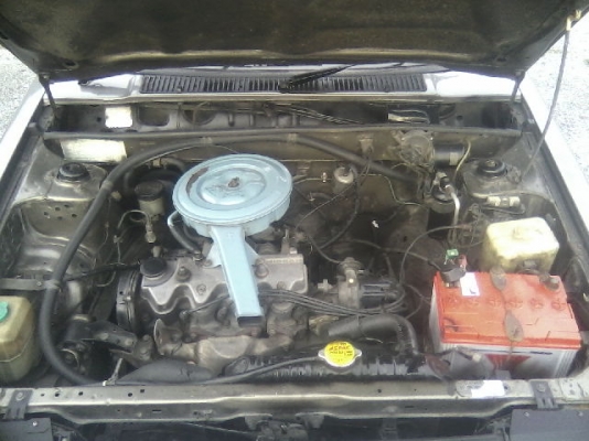 ///ขาย FFสวยนิสัยดี ไม่เกเร พร้อมเป็นเพื่อนร่วมทาง ////