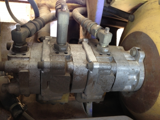 นำเข้าจากญิ่ปุ่น นำเข้าจากญิ่ปุ่น