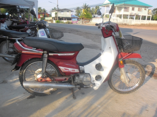 ขายดรีมคุรุมีทะเบียน8900บาท0897074784พิดโลก