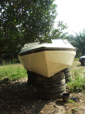 ขายเรือตกปลา ขายเรือตกปลา