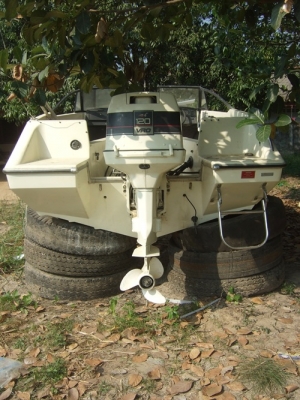 ขายเรือตกปลา ขายเรือตกปลา