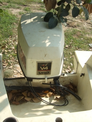 ขายเรือตกปลา ขายเรือตกปลา