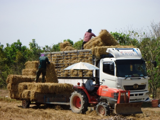 ขายเครืองอัดฟาง