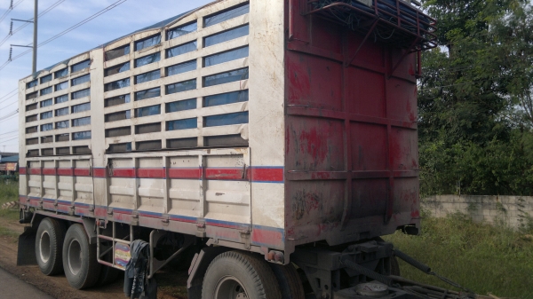 ขายรถ 24 ล้อ 2 เพลา กระบะคอกเหล็กเกษตรไม่ดั้ม MITSUBISHI FUSO Super Great 335 แรง ปี.55 รถสวย มี 3 พ่วง สนใจโทร จัดแน้นได้