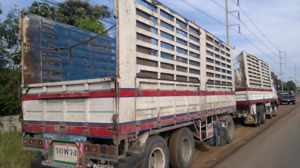 ขายรถ 24 ล้อ 2 เพลา กระบะคอกเหล็กเกษตรไม่ดั้ม MITSUBISHI FUSO Super Great 335 แรง ปี.55 รถสวย มี 3 พ่วง สนใจโทร จัดแน้นได้