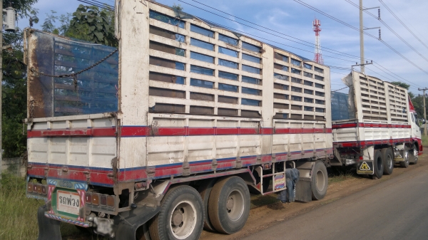 ขายรถ 24 ล้อ 2 เพลา กระบะคอกเหล็กเกษตรไม่ดั้ม MITSUBISHI FUSO Super Great 335 แรง ปี.55 รถสวย มี 3 พ่วง สนใจโทร จัดแน้นได้