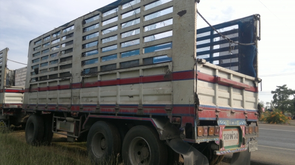 ขายรถ 24 ล้อ 2 เพลา กระบะคอกเหล็กเกษตรไม่ดั้ม MITSUBISHI FUSO Super Great 335 แรง ปี.55 รถสวย มี 3 พ่วง สนใจโทร จัดแน้นได้