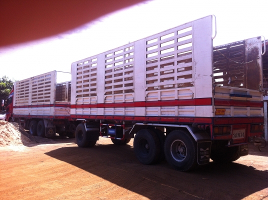 ขายพ่วง 24 ล้อ 2 เพลา กระบะเหล้กคอกเกษตรไม่ดั้ม