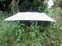 ตู้ปลาคาริเบี้ยน สภาพดีคับ ตู้ปลาคาริเบี้ยน สภาพดีคับ