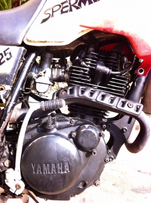 ขาย serow 225 ขาย serow 225